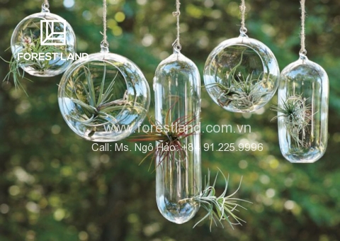 VƯỜN TREO ẤN TƯỢNG CHO KHÔNG GIAN CÔNG TRÌNH